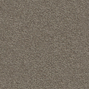 Nutmeg texture image