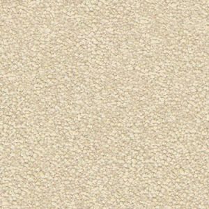 Birchwood texture image