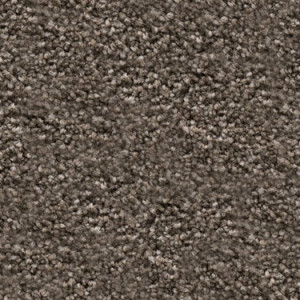 Hazel texture image