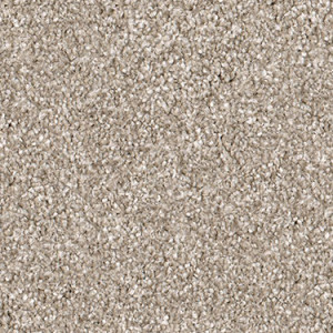 Biscotti texture image
