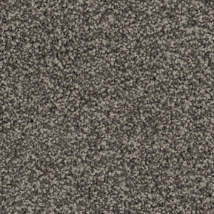 Steel Plate texture image
