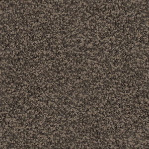 Chocolate Dust texture image