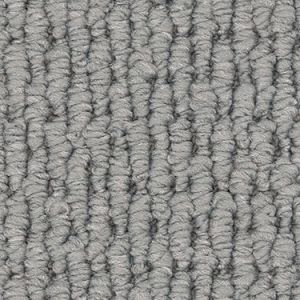 Frosted Silver texture image