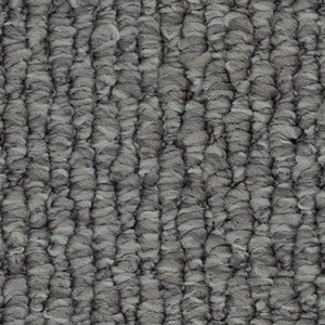 Blue Fox texture image