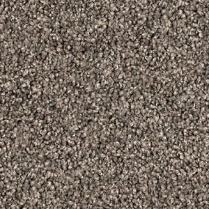Truffle texture image