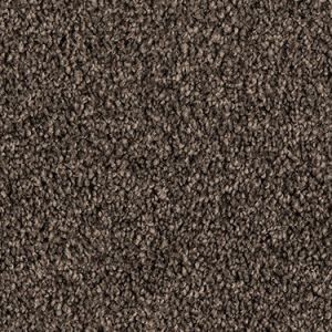 Paua texture image