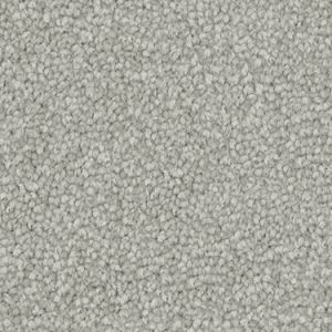 Silver Berry texture image