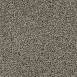 Dolphin texture image