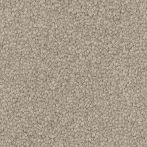 Alpaca texture image