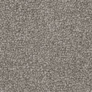Ash Grey texture image
