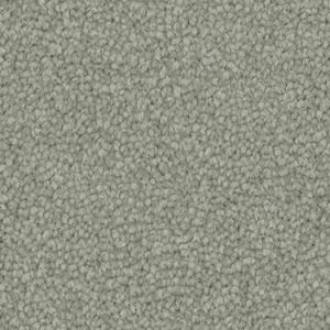 Everglades texture image