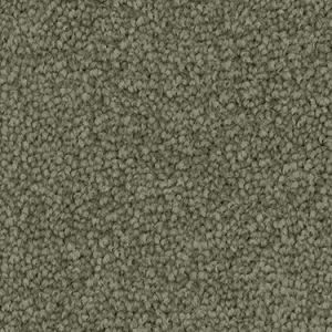 Meadow texture image