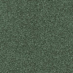 Forest texture image