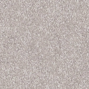 Ash Grey texture image
