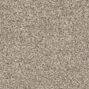 Biscotti texture image