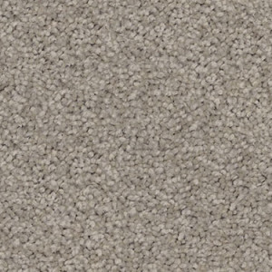 Cloud Grey texture image