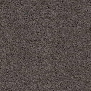 Ash Grey texture image