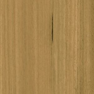 Chestnut texture image