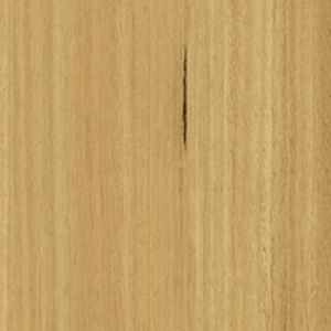 Blackbutt texture image