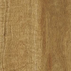 Spotted Gum texture image