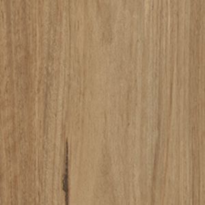 Georgetown texture image