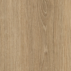 Hazel texture image