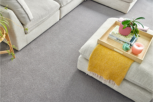 overhead shot of carpet with complementary accessories