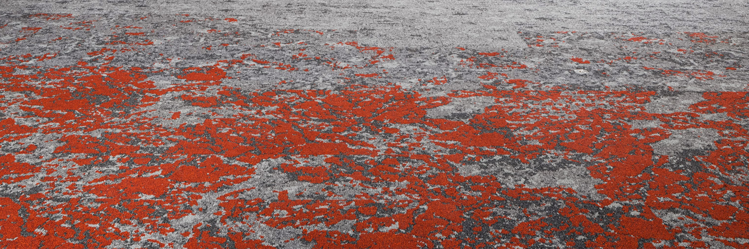 The Effect of Carpet Colour in the Classroom