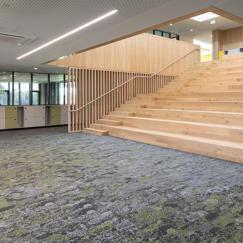 The Effect of Carpet Colour in the Classroom