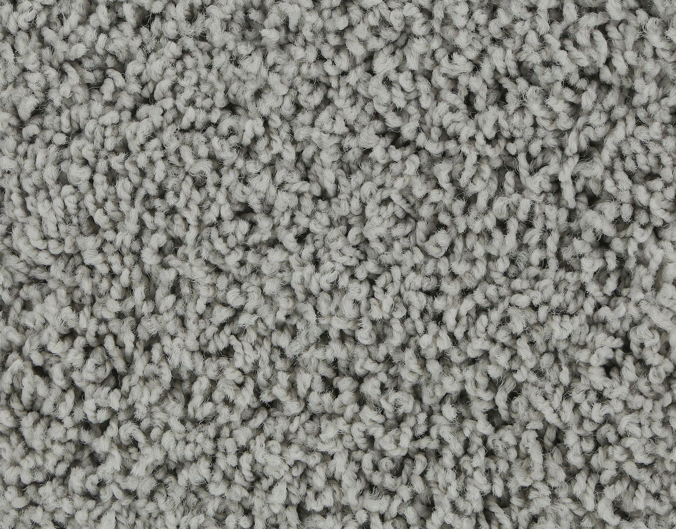Gray frieze carpet discount