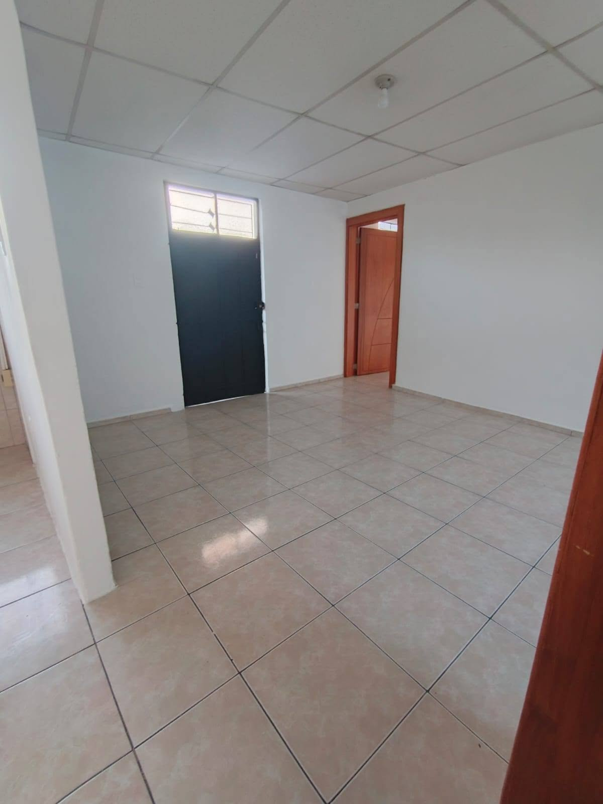 Departamento independiente en arriendo en el sector Estadio de Liga, Quito