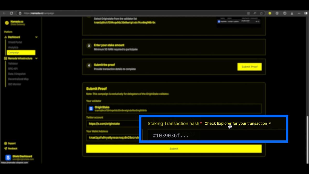 Search Wallet Address