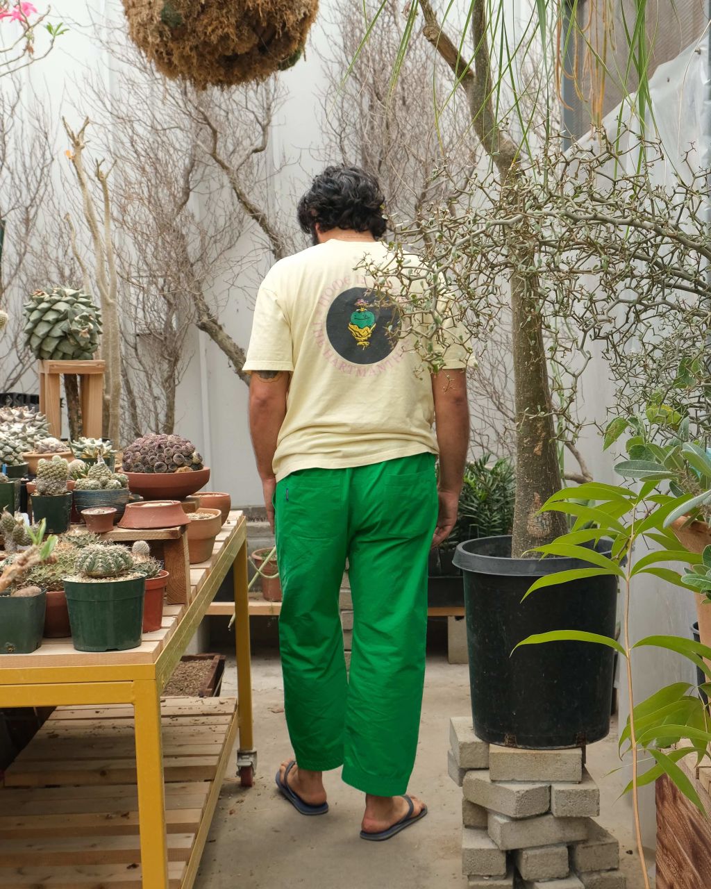 即納!最大半額!即納!最大半額!Shoyoroll Cactus Store Gardening