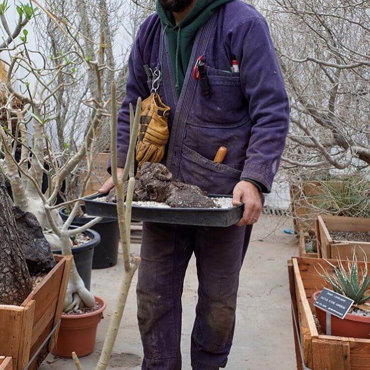 Shoyoroll Cactus Store Gardening ショーヨロール | www.unimac.az