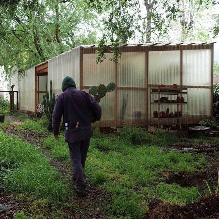 即納!最大半額!即納!最大半額!Shoyoroll Cactus Store Gardening