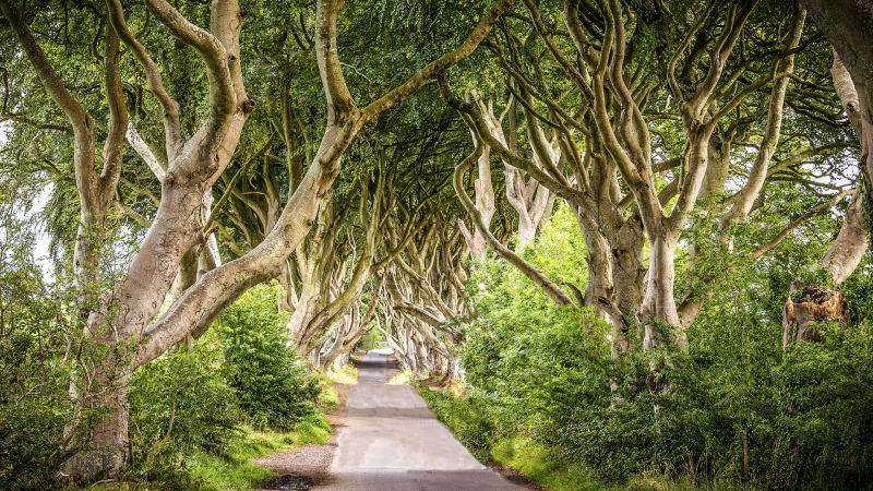 2018 Irlanda
