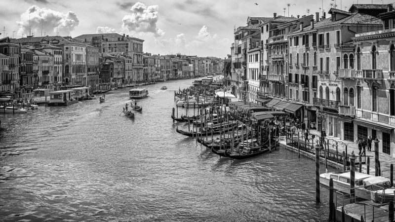 2021 Venezia black and white