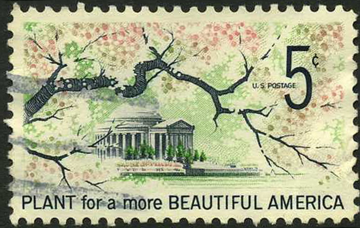 US- CINDERELLA. PLANT FOR A MORE BEAUTYFUL AMERICA.(*)