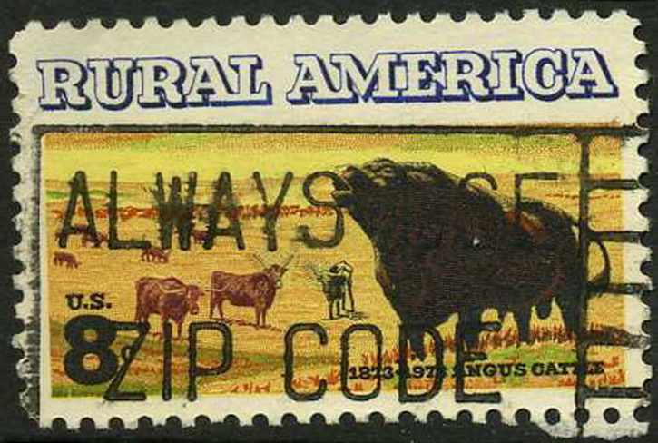 US- CINDERELLA. RURAL AMERICA.(.)1873-1973. ANGUS CATTLE.