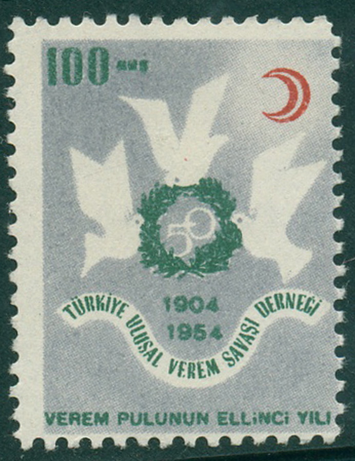 TR- CINDERELLA. VEREM PULUNUN ELLINCI YILI.1904-1954.**50 YEAR. TÜRKIYE ULUSAL