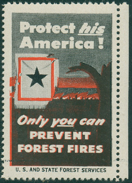 US- CINDERELLA. PROTECT HIS AMERICA!.**