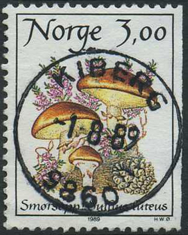 Norway Superb Canc. KIBERG/9860 - 1989.8.1, NK 1062