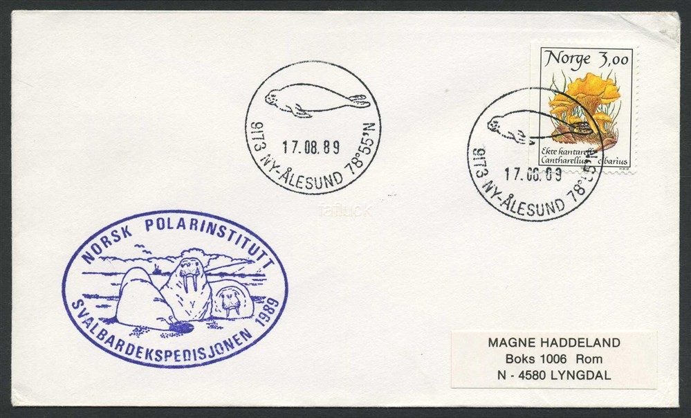 Norway Polar 03: 1989.08.17. NORSK POLARINSTITUTT / SVALBARDEKSPEDISJONEN 1989