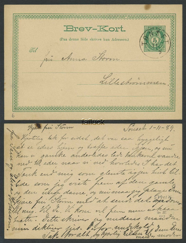 Norway stationaries: BK 030 III. TØNSET 1.11.89. Superb stroke on card to