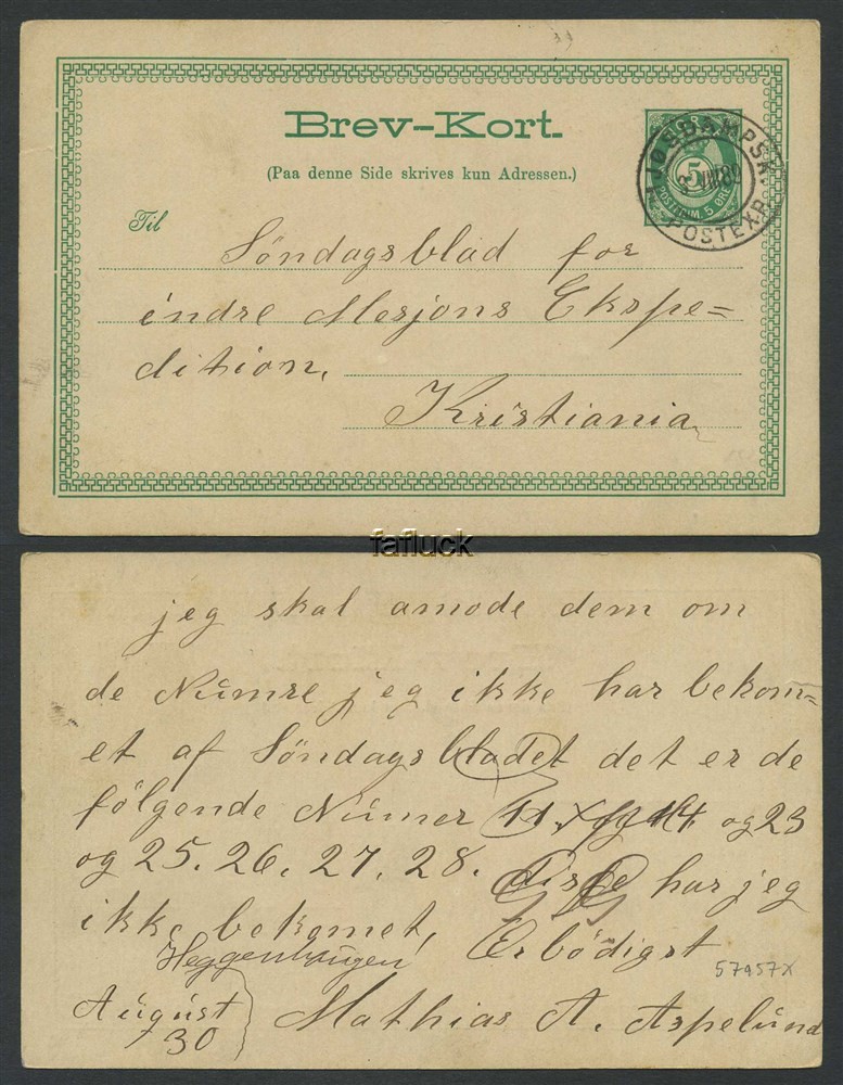 Norway stationaries: BK 030 III. MJØSDAMPSK./POSTEXP. 3.VIII.89. Superb stroke
