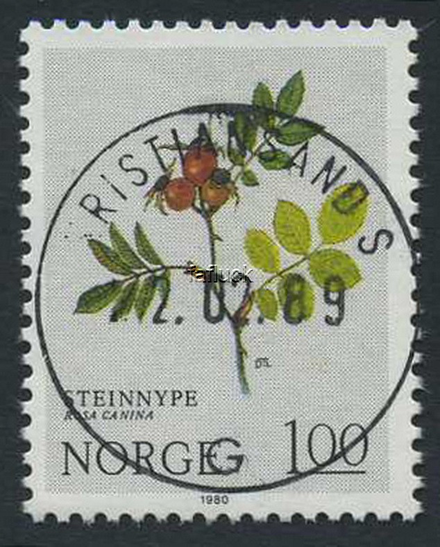NK 0874. KRISTIANSAND S 22.02.89 (Va). Superb canc. (late canc.)
