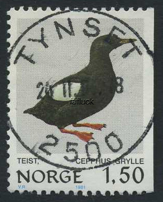 NK 0878. TYNSET/2500 24.11.81 (He). Superb!