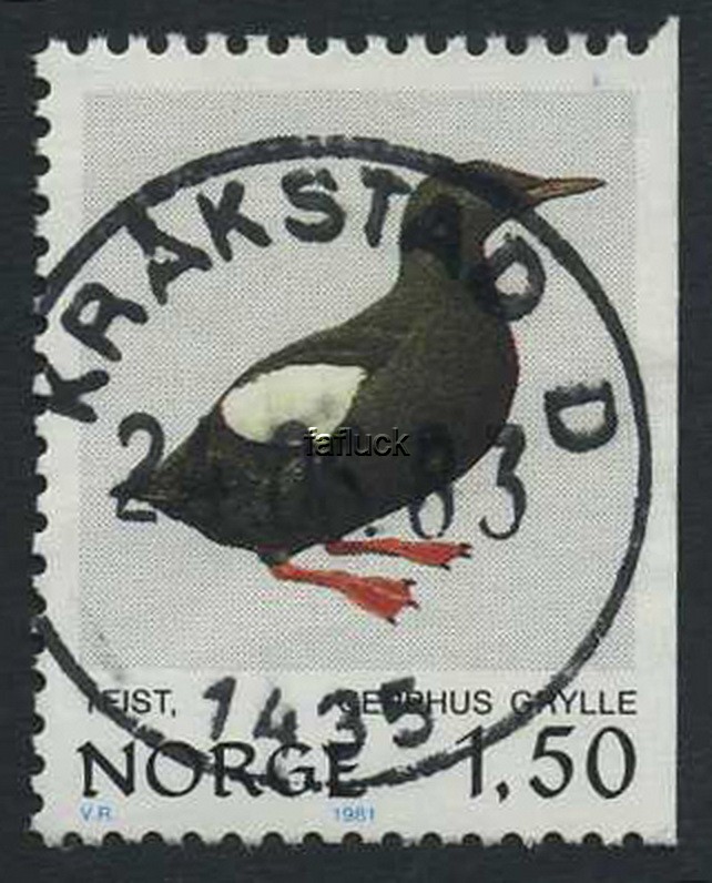 NK 0878. KRÅKSTAD D/1435 - 24.03.83 (Ak). Superb!