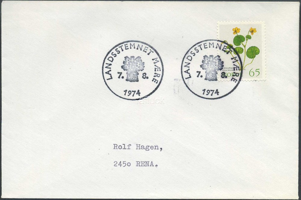 Norway Special event postmarks: 1974/32. N.B.U. LANDSSTEMNET MÆRE.
