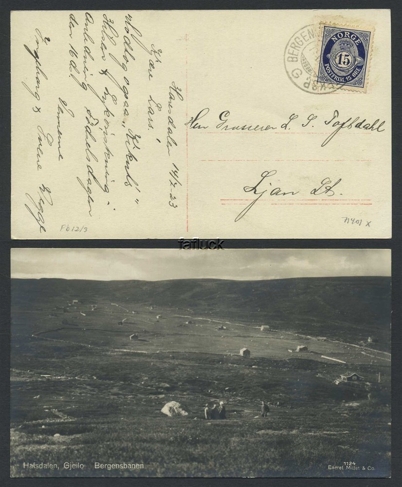 Norway railway t.p.o.: Fb 12. BERGENSBANENS POSTEKSP./G 14.VII.23. Fine diagona